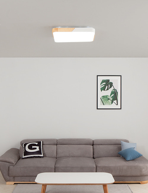 우드라인 LED 방등 60W